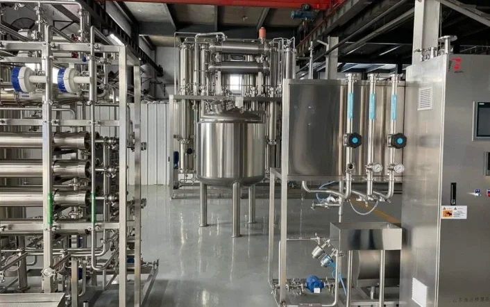 Planta de agua purificada de grado farmacéutico en acero inoxidable