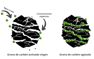 La cinética de un carbón activado granular